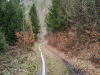 Affenberg-22.Maerz-202531